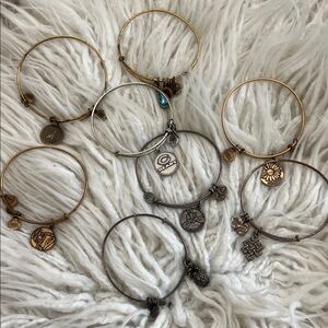 Alex and Ani Bracelets (8)